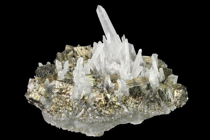 Quartz and Cubic Pyrite Association - Peru #141840